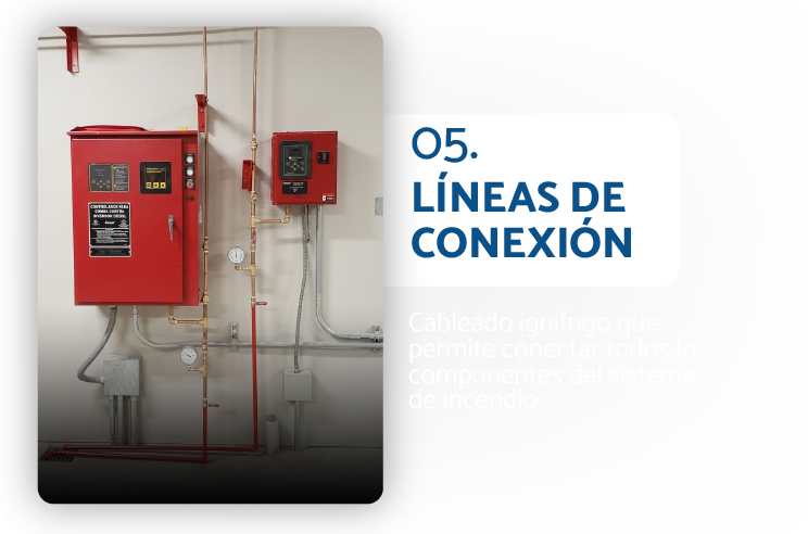 Líneas de conexión